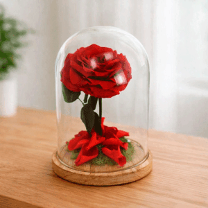 cupula rosa preservada